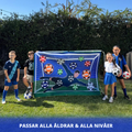 GoalGrip - Lek som förenar hela familjen