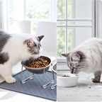 Kattmatskål lyfts ur det avtagbara metallstället